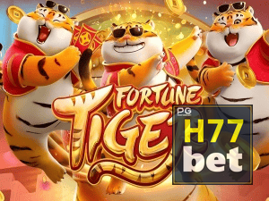 Guia install APK H77BET BR